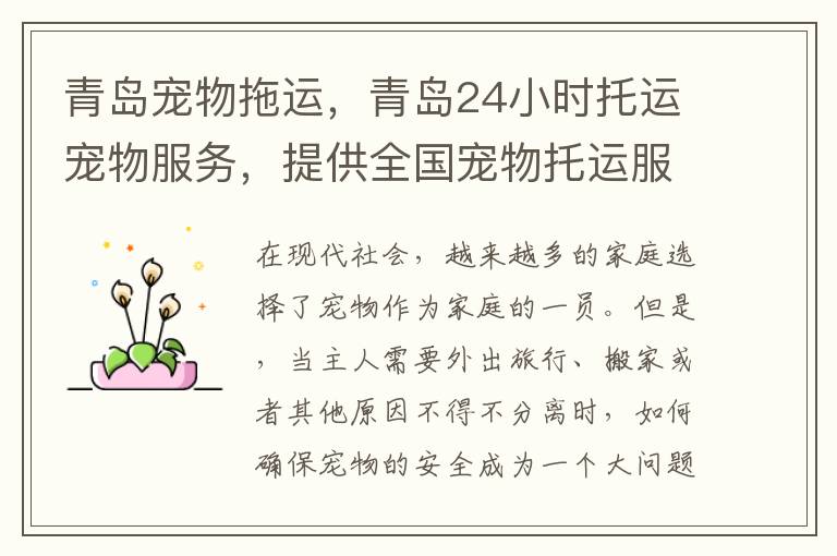 青岛宠物拖运,青岛24小时托运宠物服务,提供全国宠物托运服务