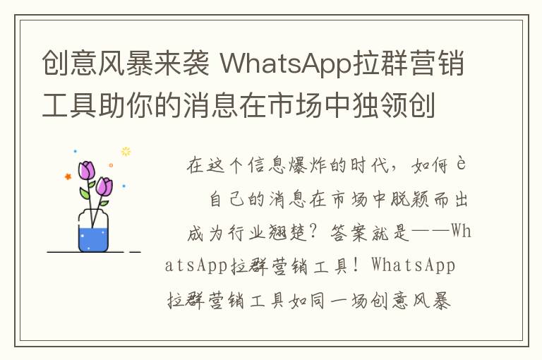 创意风暴来袭 WhatsApp拉群营销工具助你的消息在市场中独领创意风骚 成为行业翘楚