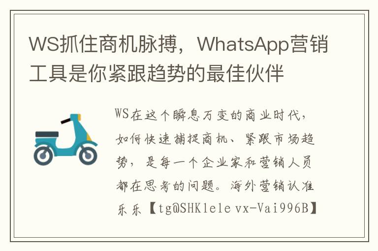 WS抓住商机脉搏，WhatsApp营销工具是你紧跟趋势的最佳伙伴
