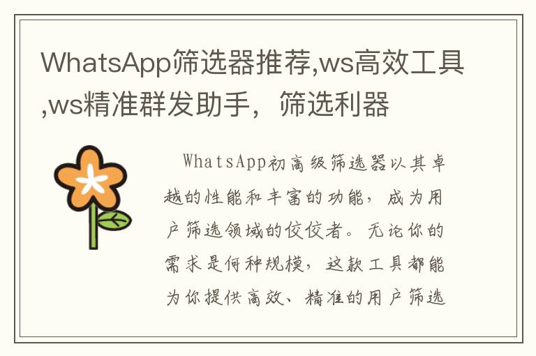WhatsApp筛选器推荐,ws高效工具,ws精准群发助手，筛选利器