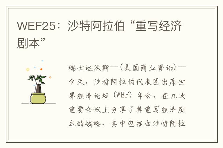 WEF25：沙特阿拉伯 “重写经济剧本”