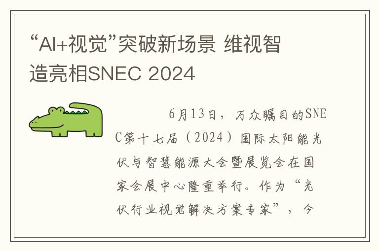 “AI+视觉”突破新场景 维视智造亮相SNEC 2024