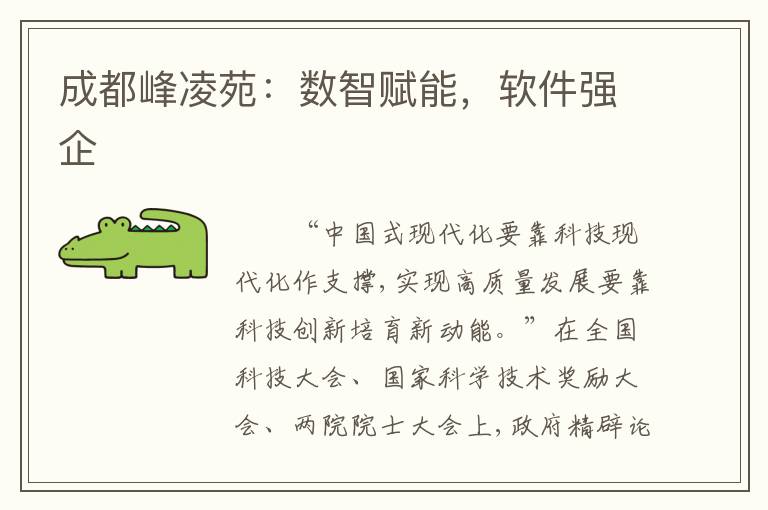 成都峰凌苑：数智赋能，软件强企