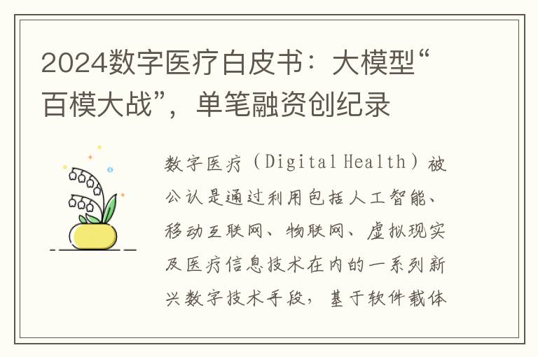 2024数字医疗白皮书：大模型“百模大战”，单笔融资创纪录