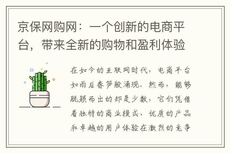 京保网购网：一个创新的电商平台，带来全新的购物和盈利体验
