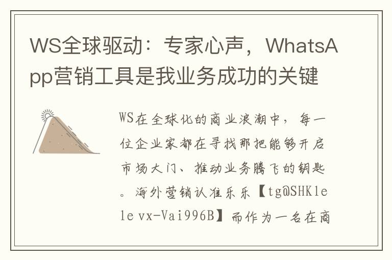 WS全球驱动：专家心声，WhatsApp营销工具是我业务成功的关键利器