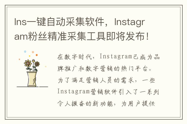 Ins一键自动采集软件，Instagram粉丝精准采集工具即将发布！