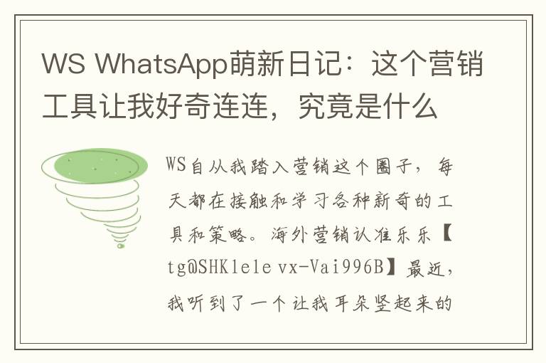 WS WhatsApp萌新日记：这个营销工具让我好奇连连，究竟是什么神物