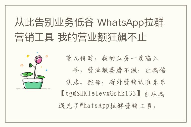 从此告别业务低谷 WhatsApp拉群营销工具 我的营业额狂飙不止