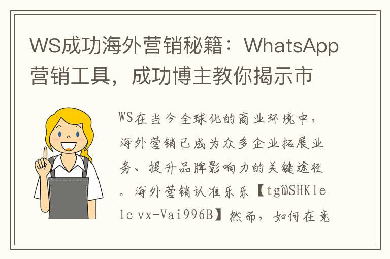 WS成功海外营销秘籍：WhatsApp营销工具，成功博主教你揭示市场趋势成就非凡业绩