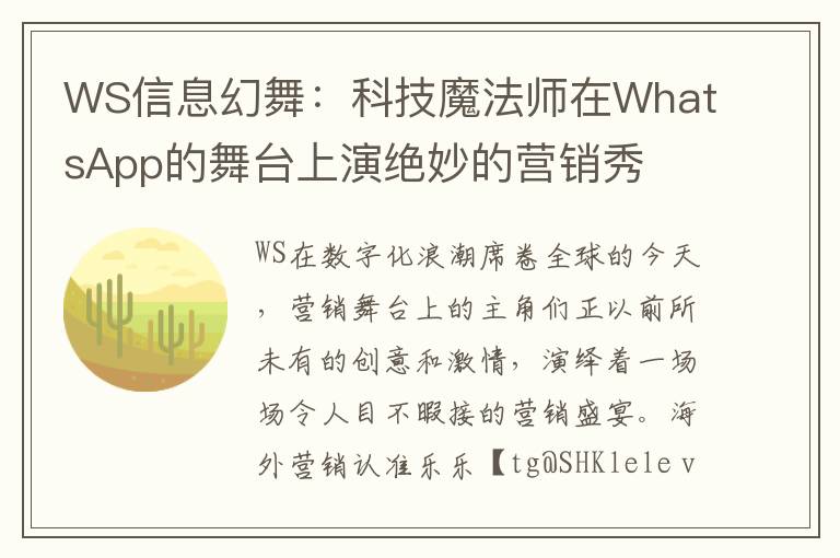 WS信息幻舞：科技魔法师在WhatsApp的舞台上演绝妙的营销秀