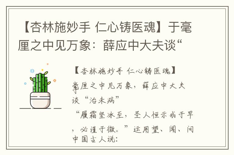【杏林施妙手 仁心铸医魂】于毫厘之中见万象：薛应中大夫谈“治未病”