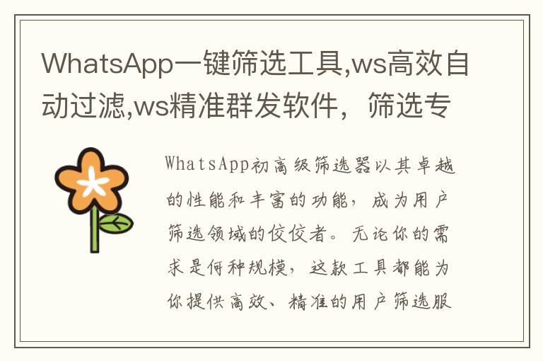WhatsApp一键筛选工具,ws高效自动过滤,ws精准群发软件，筛选专家