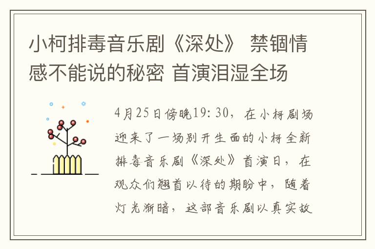 小柯排毒音乐剧《深处》 禁锢情感不能说的秘密 首演泪湿全场