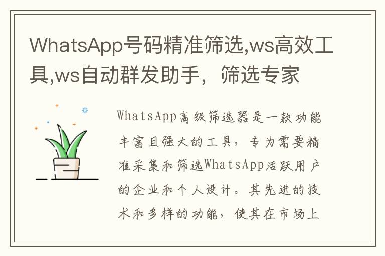 WhatsApp号码精准筛选,ws高效工具,ws自动群发助手，筛选专家