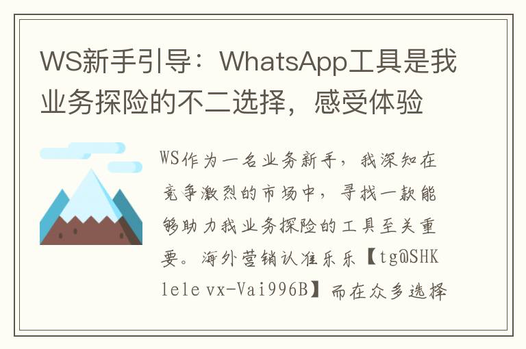 WS新手引导：WhatsApp工具是我业务探险的不二选择，感受体验的全新高度