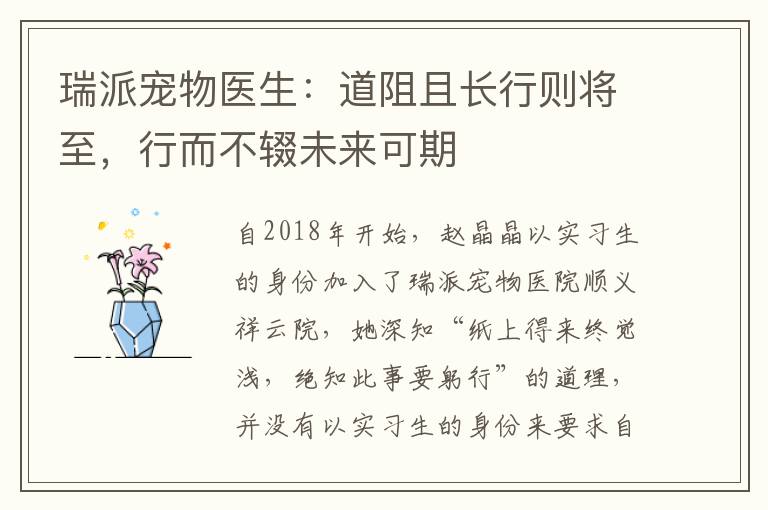 瑞派宠物医生：道阻且长行则将至，行而不辍未来可期