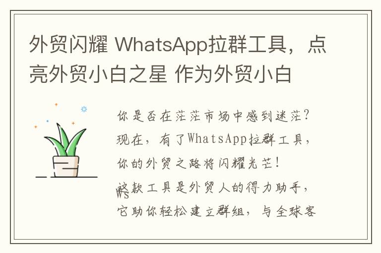 外贸闪耀 WhatsApp拉群工具，点亮外贸小白之星 作为外贸小白