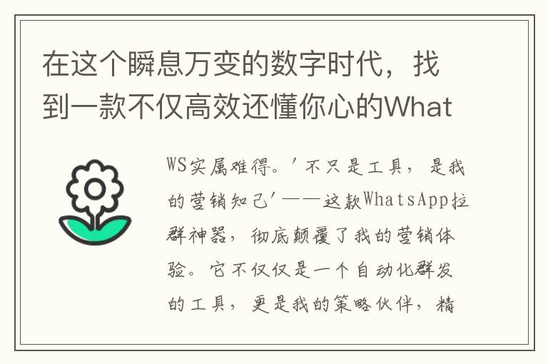 在这个瞬息万变的数字时代，找到一款不仅高效还懂你心的WhatsApp拉群营销工具