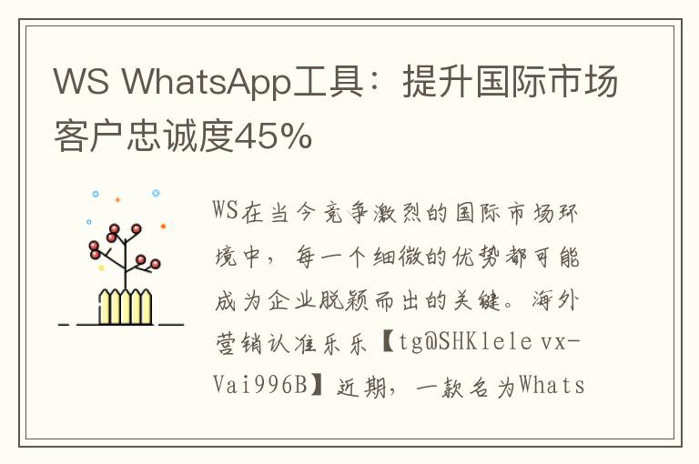 WS WhatsApp工具：提升国际市场客户忠诚度45%