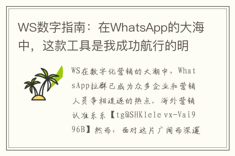 WS数字指南：在WhatsApp的大海中，这款工具是我成功航行的明灯和指南
