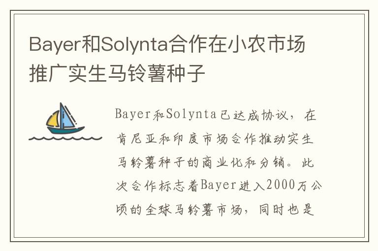 Bayer和Solynta合作在小农市场推广实生马铃薯种子