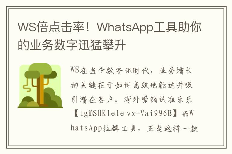 WS倍点击率！WhatsApp工具助你的业务数字迅猛攀升