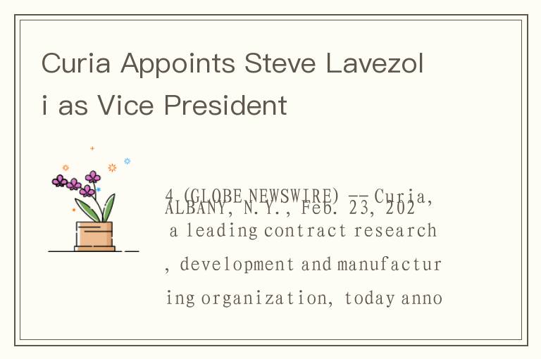 Curia Appoints Steve Lavezoli as Vice President